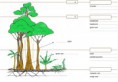 /album/fotogalerij/a42211-tropisch-woud-schema-jpg1/